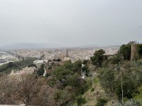 IMG_8070.JPG