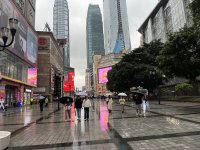 IMG_2919.jpeg