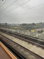 IMG_3010.jpeg