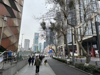 IMG_3031.jpeg