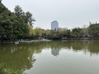 IMG_3046.jpeg