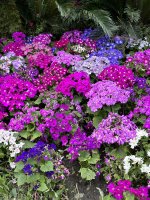 IMG_3054.jpeg