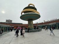 IMG_3066.jpeg