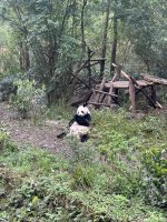 IMG_3093.jpeg