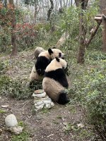 IMG_3128.jpeg