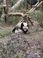 IMG_3139.jpeg