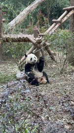 IMG_3145.jpeg