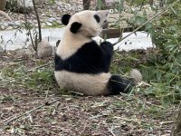IMG_3156.jpeg