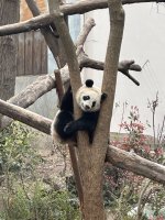 IMG_3187.jpeg