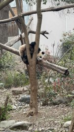 IMG_3190.jpeg