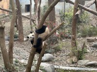 IMG_3205.jpeg