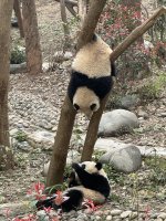 IMG_3209.jpeg