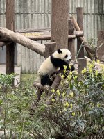 IMG_3228.jpeg