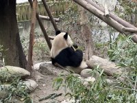 IMG_3240.jpeg