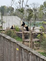 IMG_3267.jpeg