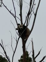 IMG_3285.jpeg