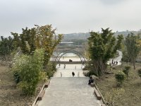 IMG_3305.jpeg