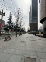 IMG_3307.jpeg