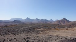 DSC03542-k.jpg