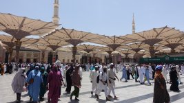 DSC04246-k.jpg