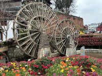 IMG_3451.jpeg
