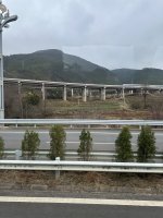 IMG_3456.jpeg