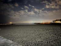 IMG_8748.JPG