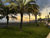 IMG_8899.JPG