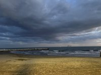 IMG_8902.JPG
