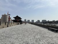 IMG_3566.jpeg