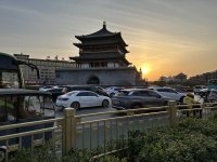IMG_3575.jpeg