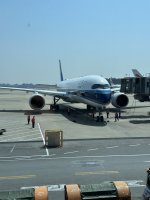 IMG_3612.jpeg