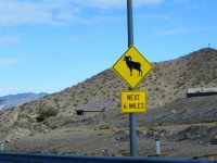 IMG_2541.jpg IMG_2541.jpg