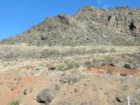 IMG_2557.jpg IMG_2557.jpg