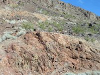 IMG_2558.jpg IMG_2558.jpg