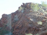 IMG_2560.jpg IMG_2560.jpg