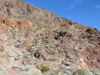 IMG_2562.jpg IMG_2562.jpg