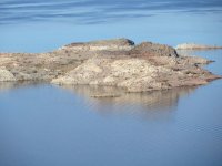 IMG_2576.jpg IMG_2576.jpg