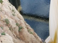 IMG_2619.jpg IMG_2619.jpg