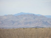 IMG_2664.jpg IMG_2664.jpg