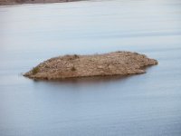 IMG_2666.jpg IMG_2666.jpg