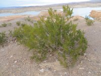 IMG_2680.jpg IMG_2680.jpg