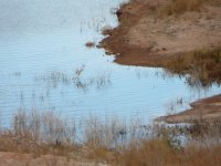 IMG_2689.jpg IMG_2689.jpg