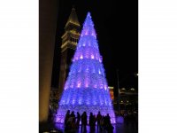 IMG_2719.jpg IMG_2719.jpg