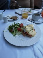 IMG_20250510_094322.jpg