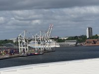 IMG_5163.JPG IMG_5163.JPG