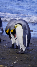 1748387128879.png