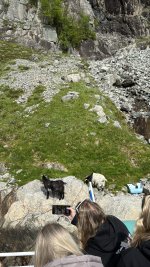 IMG_5405.JPG IMG_5405.JPG