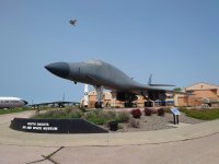 DSC_8910.JPG