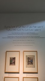 PXL_20250210_041250992.jpg